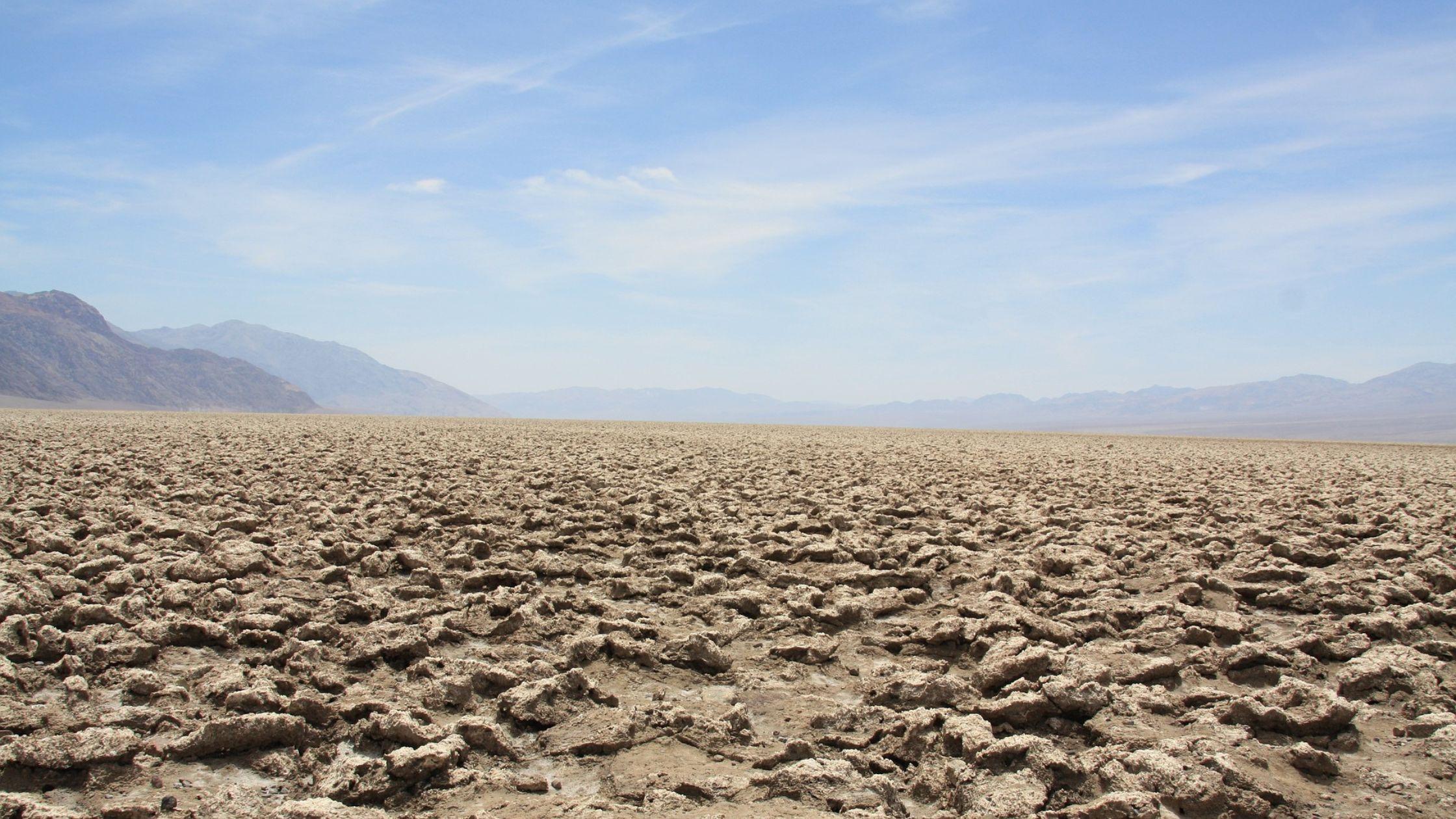 Vasi moderni, progresso e natura al tempo stesso